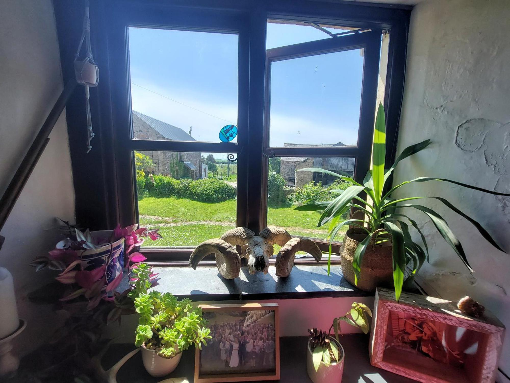 Rural Historic Farmhouse - A Peaceful Escape West Down Zewnętrze zdjęcie